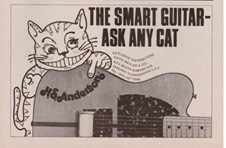 Ask Any Smart Cat